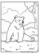 Eric Carle Brown Bear Coloring Pages Sketch Page sketch template