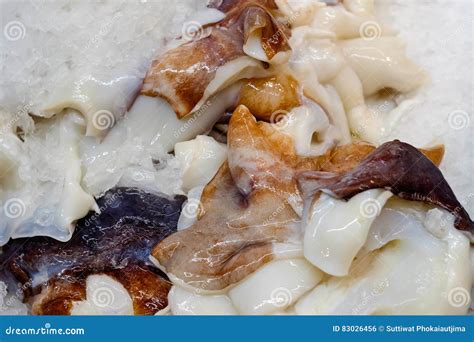 Frozen squid stock photo. Image of octopus, freshness - 83026456