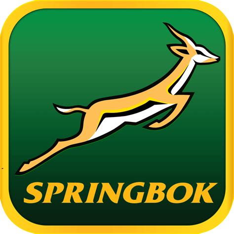 Springboks Logo - Insanity-Follows