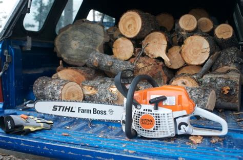 A Quality Chainsaw Is Tough To Test | GearJunkie