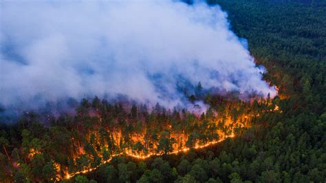 Photos show scale of massive fires tearing through Siberian forests