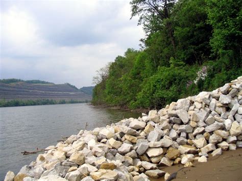 Ohio River Islands National Wildlife Refuge [Bluefoot pics included ...