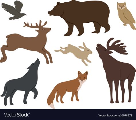 Wild forest animals Royalty Free Vector Image - VectorStock