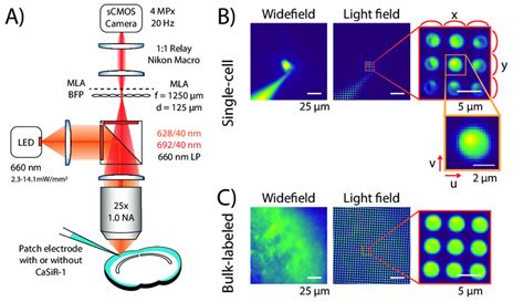 A) Optical system schematic. A microlens array is placed at the native... | Download Scientific ...