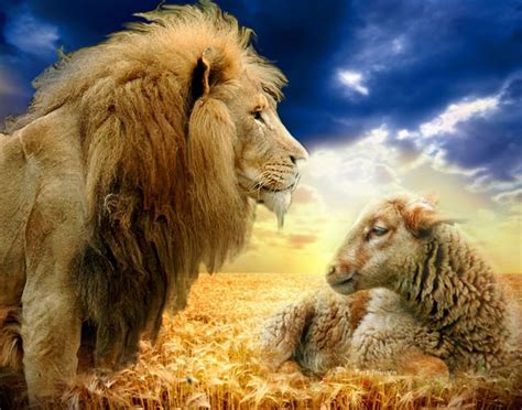 133 best images about ART: the lion and the lamb on Pinterest