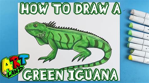 How to Draw a GREEN IGUANA - YouTube