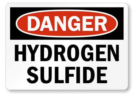 The Truth about Hydrogen Sulfide Exposure | Capstone