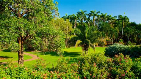 George Brown Darwin Botanic Gardens pictures: View photos and images of ...