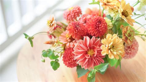 Floral Design Tips for Beginners