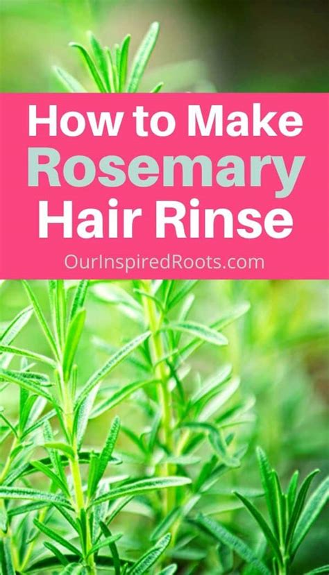 Homemade Rosemary Water For Hair And Scalp Health