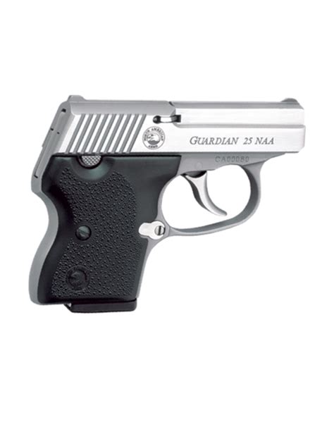 NORTH AMERICAN ARMS GUARDIAN, #NAA-25NAA, 25NAA, STAINLESS, 6RDS - BH Police Supply