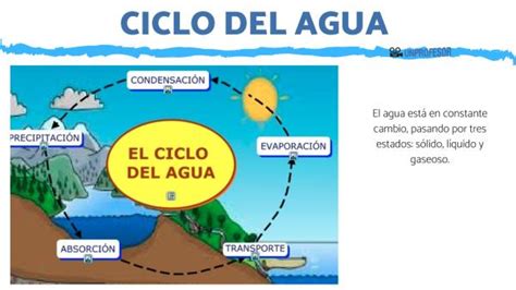 Qué es el ciclo del agua - RESUMEN para niños [con imágenes!]