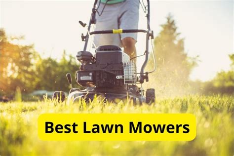 10 Best Lawn Mowers of 2024