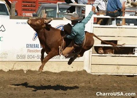 Pin by luis gerardo on charreria | Mexican rodeo, Horses, Animals