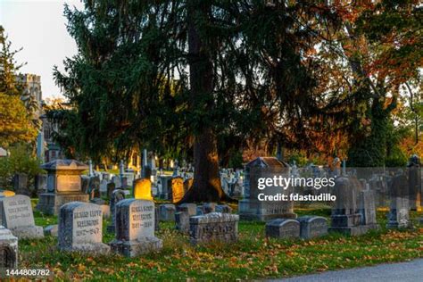 191 Mt Hope Cemetery Stock Photos, High-Res Pictures, and Images ...