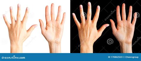 Set of Women Hands Showing and Counting on Fingers Isolated on a White and Black Stock Image ...