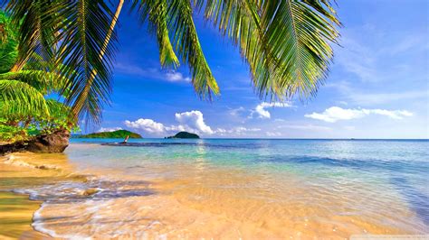 Shore Palms Tropical Beach Ultra HD Desktop Background Wallpaper for 4K UHD TV : Tablet : Smartphone