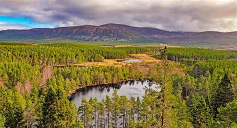 Things to do in Aviemore and the Cairngorms National Park