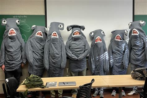 Hammerhead Sharks Prank on Teacher Delights Internet: 'Irrational Fear'