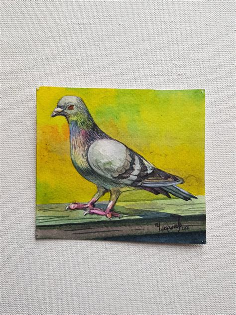 Original Watercolor Painting Dove Bird Gray White Wall | Etsy