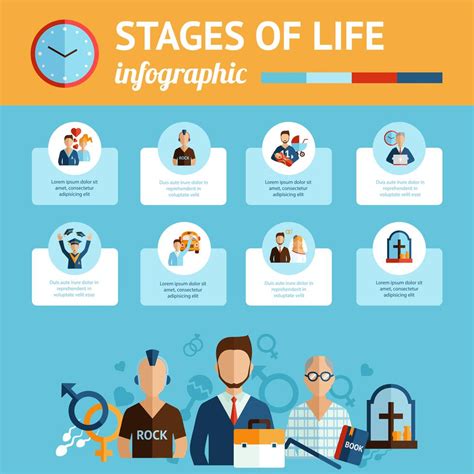 Informe infográfico de las etapas de la vida imprimir 434749 Vector en Vecteezy