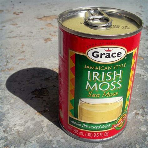 Irish Moss drink | Jamaica food, Jamaican recipes, Caribbean recipes