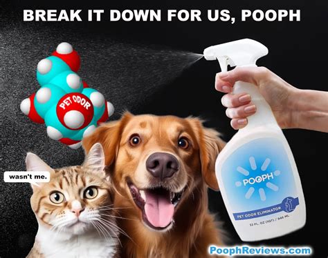 How Pooph Pet Odor Eliminator Works - PoophReviews.com