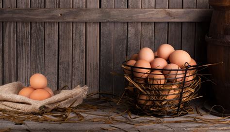 Meet the Top 15 Best Brown Egg Layers - Backyard Poultry