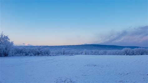 Light January Snow on Behance