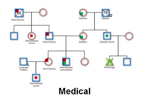 8 Different Styles of Genogram Examples for You to Follow