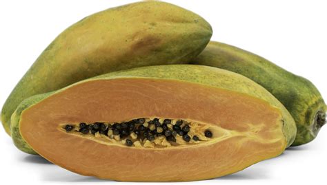 Maradol Papayas Information and Facts