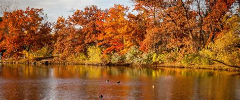 Parks for the Best Fall Colors | Three Rivers Park District