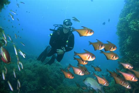 PADI open water diver - Perth Ocean Diving