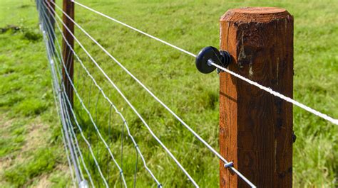 Why You Might Consider Adding An Electric Fence To Your Garden