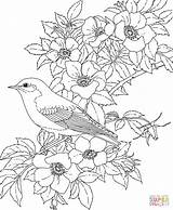 Eastern Bluebird And Rose New York State Bird Flower coloring Page  sketch template