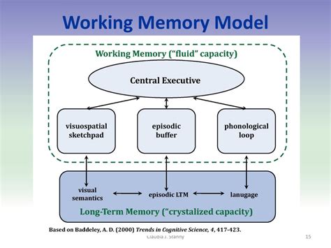 PPT - Working Memory PowerPoint Presentation, free download - ID:4628079