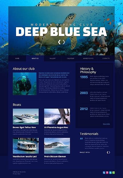 Blue Website Design : The Color of Trust and Loyalty | EntheosWeb