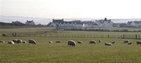 Irish Sheep Farm Photograph by Henri Irizarri