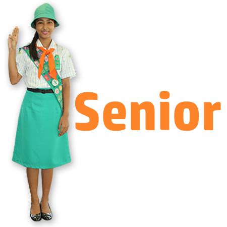 Senior Scout (Girl Scouts of Korea) | Girl Scout Wiki | Fandom