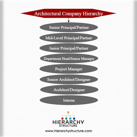 Architectural Company Hierarchy Chart - Hierarchy Structure