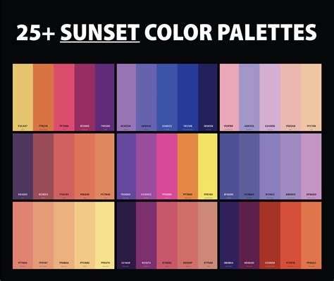 25+ Best Sunset Color Palettes with Names and Hex Codes – CreativeBooster