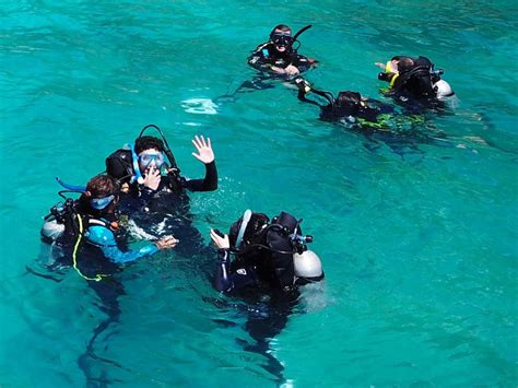 Airlie Beach Scuba Diving Tour