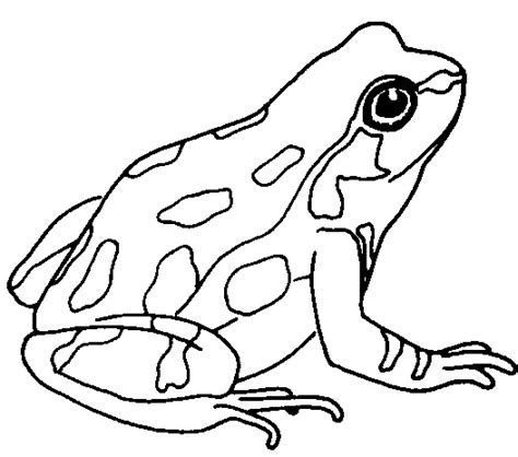 Frog clipart black and white - Clipartix