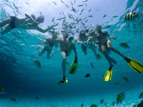 Cozumel Mr. Sanchos Beach Club 2 Reef Marine Park Snorkel Excursion by Boat - Cozumel Excursions