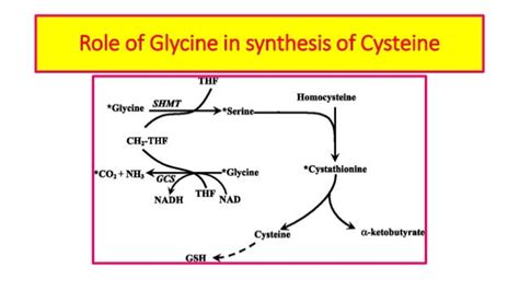 Glycine metabolism & its clinical significance