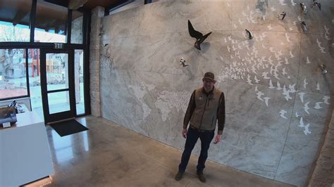 World Center for Birds of Prey set to open expansion on Earth Day | ktvb.com