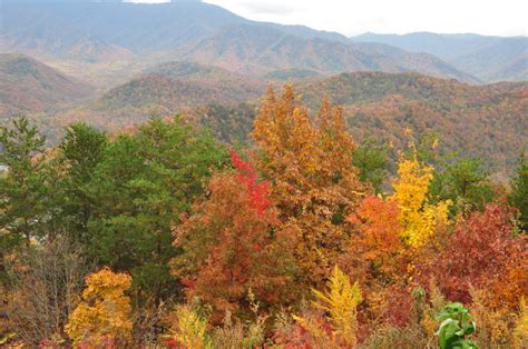 Great Smoky Mountains Fall Foliage Report 2016Pigeon Forge Chamber of ...