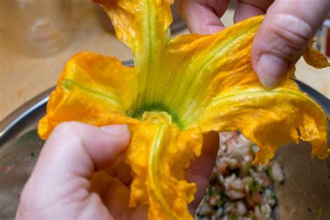 Stuffed Zucchini Flowers / Squash Blossom Stock Photo - Image of greek, rice: 125832854