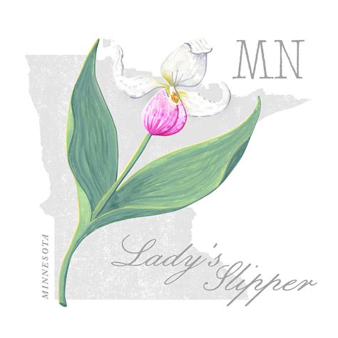 Minnesota State Flower Apple Blossom Art by Jen Montgomery Painting by ...