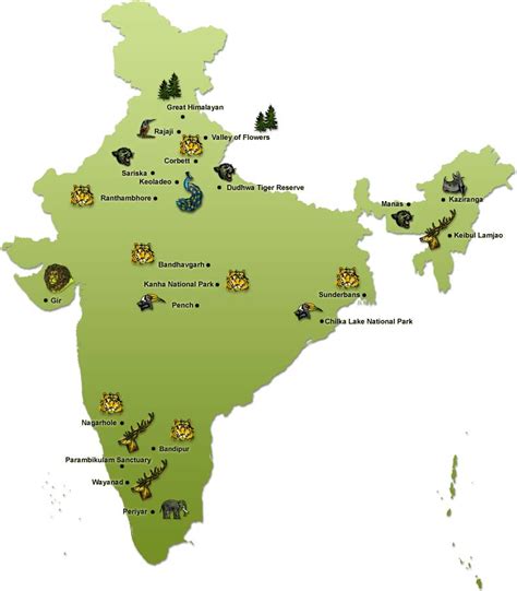 This is India: Wildlife Conservation